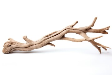 Poster - A piece of driftwood on a plain white surface. Ideal for backgrounds and textures