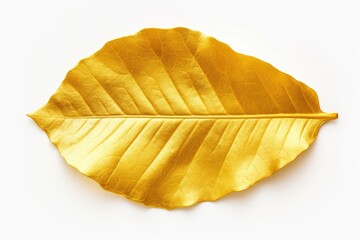 Poster - A single gold leaf on a plain white background. Suitable for luxury and minimalist concepts