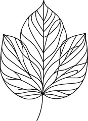 Wall Mural - leaf in continuous line drawing minimalist style.
