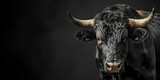 Portrait of black bull on black background
