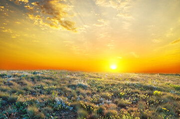 Wall Mural - Sunrise in summer mountains