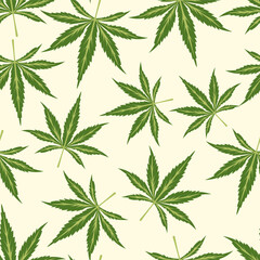 Wall Mural - Vector Seamless Pattern with Flat Cannabis Leaves. Hemp, Cannabis Green Leaf on a White Background. Seamless Print with Medical Marijuana. Vector Illustration