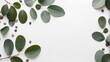 Serene Eucalyptus and Pebbles Minimalist Botanical Background with Space for Text, white background