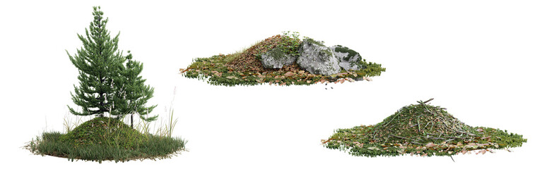 Poster - collection green grass on transparent background 3d rendering png
