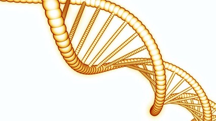 Poster - Simple rotating dna chain on white background. Design. Animation of simple dna chain in motion. Medical dna chain on white background for presentation