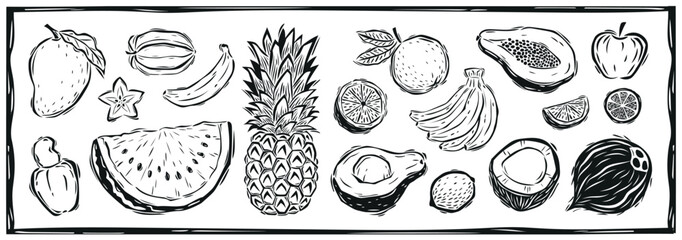 Wall Mural - Big set of hand-drawn fruits. Vector illustration in vintage woodcut style.