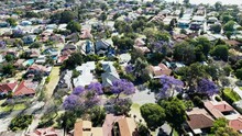 Aerial View Captures A Neighborhood Filled With Houses And Trees. Houses Are Lined Up Neatly, Each With Its Own Yard And Driveway. Tall Trees Provide Shade And Greenery Throughout The Area