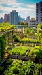 A green vegetable garden in a communal roof garden against the background of the City on a sunny day. Harvest, Agriculture, Farming concepts.