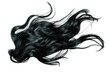 © Your Choice - Black Hair Isolated On Transparent Background