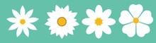 Big Of Beautiful Colorful Flowers. Camomile Icon Set. White Daisy Chamomile. Cute Round Flower Plant Collection. Growing Concept. Love Card Symbol. Flat Design. Green Background. Vector Illustration. 