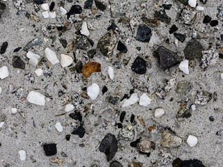 Wall Mural - Concrete wall texture with pebbles. Decorative rough concrete surface with white, black and gray stones. Perfect for background and design. Closeup. High resolution.