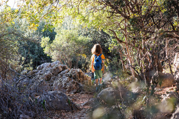 Wall Mural - A boy with a backpack walks through the forest.  a child explores the wild nature, a cheerful child walks along a path among the trees.