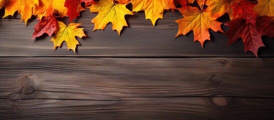 Wall Mural - Autumnal Vibes: Rustic Wooden Background Adorned with Vibrant Fall Leaves