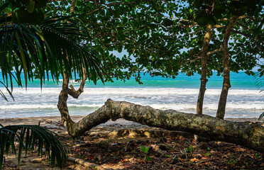 Sticker - Cahuita National Park, Costa Rica