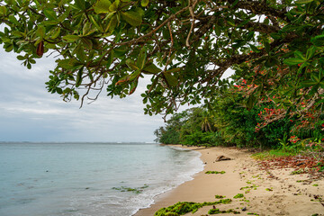 Sticker - Cahuita National Park, Costa Rica