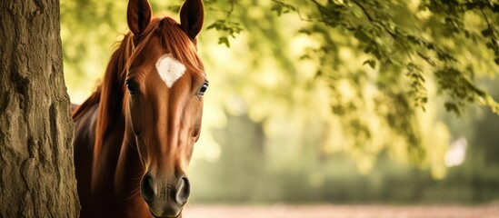 Canvas Print - Majestic Horse Standing Gracefully by a Tree in Lush Field Landscape