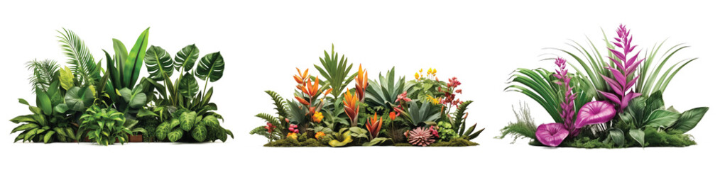Wall Mural - Tropical vibes plant bush floral arrangement with tropical leaves Monstera and fern and Vanda orchids tropical flower decor on tree branch orchids vine plant ,PNG, cutout, or clipping path.	