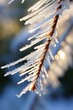 A close up of a branch of a tree with ice crystals on it. Generative AI.