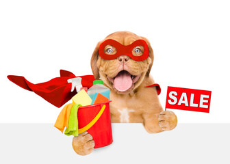 Poster - Funny Mastiff puppy wearing superhero costume holds bucket with washing fluids and  showing signboard with labeled 