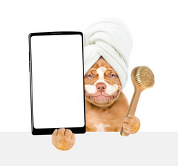 Aufkleber - Smiling Mastiff puppy with towel on it head, with cream on it face holds rubber duck and big smartphone with white blank screen in it paw. isolated on white background
