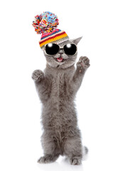Poster - Happy cat wearing sunglasses, warm winter hat with pompon standing on hind legs and looking at camera. isolated on white background