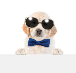 Aufkleber - Young golden retriver puppy wearing sunglasses and tie bow looks above empty white banner. isolated on white background. Empty space for text