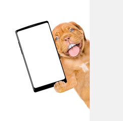 Wall Mural - Mastiff puppy with funny big teeth looks above empty white banner and holds big smartphone with empty screen in it paw. Isolated on white background