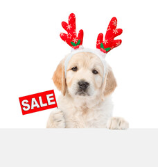 Poster - Cute Golden retriever puppy dressed like santa claus reindeer  Rudolf looks above empty white banner and shows signboard with labeled 