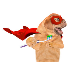 Poster - Funny Mastiff puppy wearing superhero costume holds toothbrush with toothpaste in it paws and looks away on empty space. isolated on white background