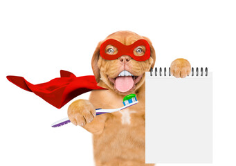 Fototapete - Happy Mastiff puppy with big funny teeth wearing superhero costume holds toothbrush in it paw and empty notepad. isolated on white background