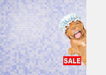 Poster - Happy mastiff puppy wearing shower cap, with funny big teeth looks from behind empty white banner in the bathroom at home and shows signboard with labeled 