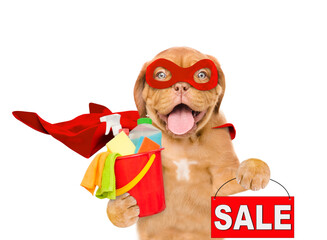 Poster - Funny Mastiff puppy wearing superhero costume holds bucket with washing fluids and  showing signboard with labeled 