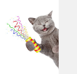 Aufkleber - Happy cat holds exploding firecracker and looks from behind empty white banner. Isolated on white background