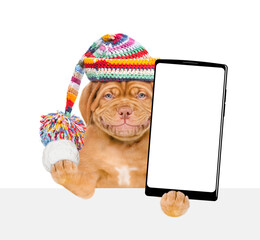 Aufkleber - Smiling puppy wearing a warm hat with pompon holds snowball and holds smartphone with white blank screen in it paw above empty white banner. isolated on white background