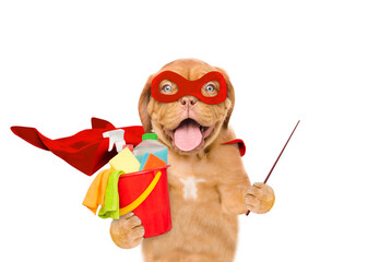 Poster - Funny Mastiff puppy wearing superhero costume holds bucket with washing fluids and points away on empty space. Isolated on white background