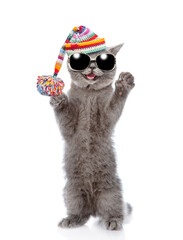 Poster - Happy cat wearing sunglasses, warm winter hat with pompon standing on hind legs and looking at camera. isolated on white background