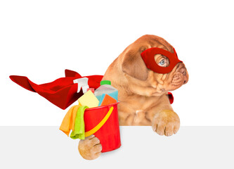 Poster - Happy Mastiff puppy wearing superhero costume holds bucket with washing fluids above empty white banner and looks away on empty space. Isolated on white background