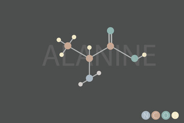 Sticker - ALANINE molecular skeletal chemical formula