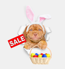 Sticker - Smiling Mastiff puppy wearing easter rabbits ears holds basket of painted eggs and shows signboard with labeled 