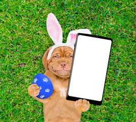 Sticker - Smiling Mastiff puppy wearing easter rabbits ears holds painted easter egg and big smartphone with white blank screen in it paw and lies on its back on summer green grass. Top down view