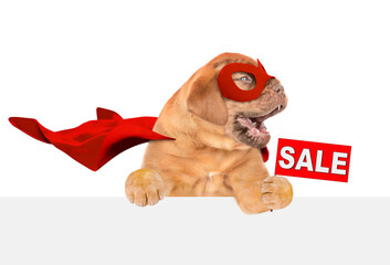 Poster - Funny Mastiff puppy wearing superhero costume looking away above empty white banner and  showing signboard with labeled 