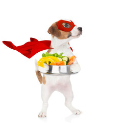Poster - Funny jack russell terrier puppy wearing superhero costume holds bowl of vegetables and looks away on empty space. Isolated on white background