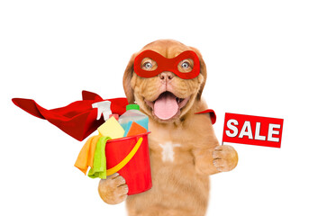 Poster - Funny Mastiff puppy wearing superhero costume holds bucket with washing fluids and  showing signboard with labeled 