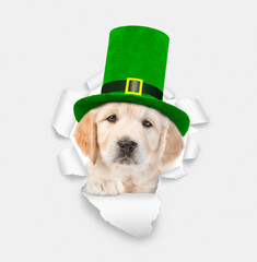 Poster - Saint Patrick's Day concept. Happy golden retriever puppy wearing sunglasses and leprechauns green cylinder looks through the hole in white paper and points away on empty space