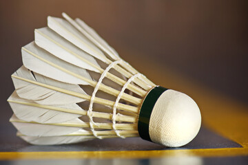 shuttlecock is a high-drag projectile used in the sport of badminton. 