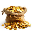 gold coin in sand bag on white background