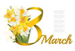 8th March illustration. Holiday  background with yellow and white flowers narcisses and gold ribbon. Vector.