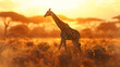 Giraffe Run cycle animation Africa - Giraffe and birds under its feet Slow motion shot showing a giraffe then panning up into the sky, Lalibela Game Reserve, Eastern Cape, South Africa, Generative ai