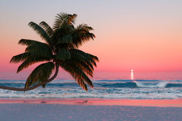 Sticker - Tropical Palm Tree on Beach at Sunset