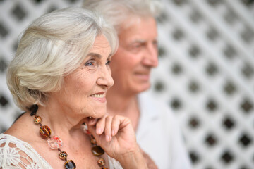 Portrait of elderly couple posing in nature in summer